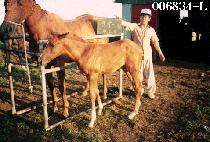 �뷮�� (TAERYANGMOK) ����