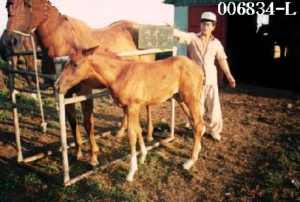 �뷮�� ����