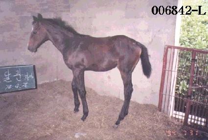 ���޸��� ����