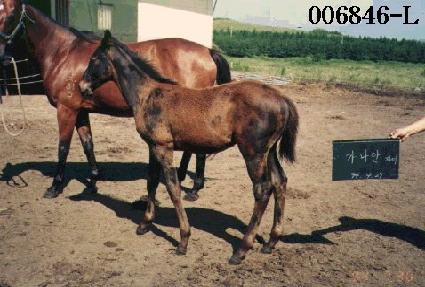 �߸� ����