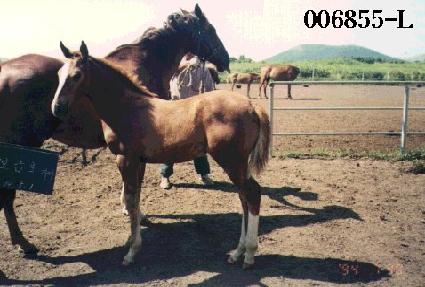 �ۺ��� ����