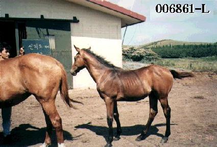 û�� ����