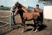 ����� (TEOKTAESAN) ����