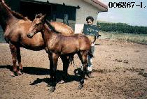 �������� (HAECH��ANNURI) ����