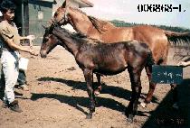 ũ�����ڸ� ����