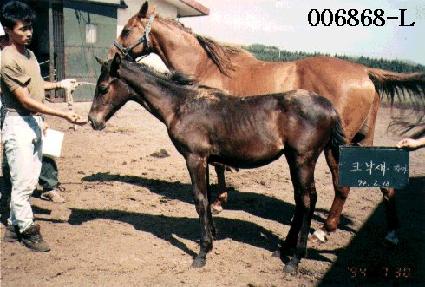 ũ�����ڸ� ����