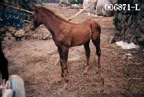 ����ƾ��ڸ� ����