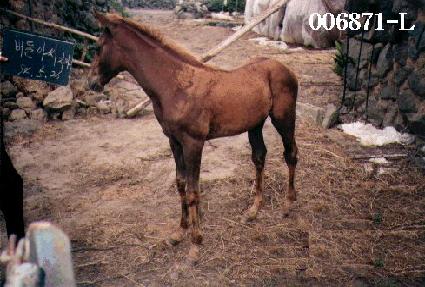 ����ƾ��ڸ� ����