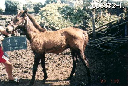 �ݰ��� ����