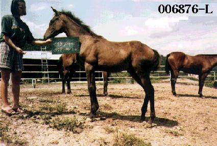 ���� ����