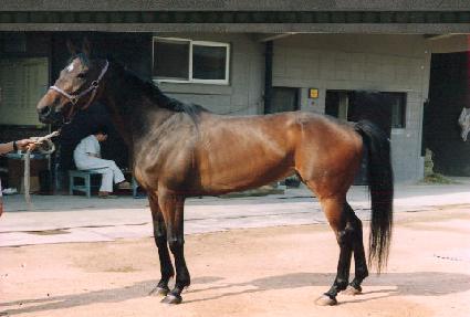 ���ڼ��� ����