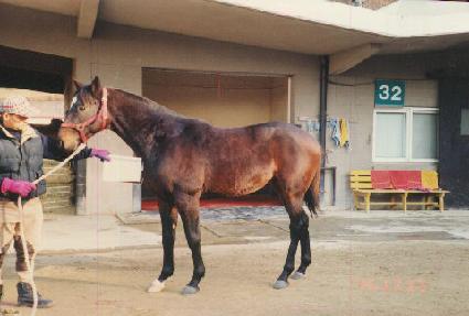 ���μ� ����