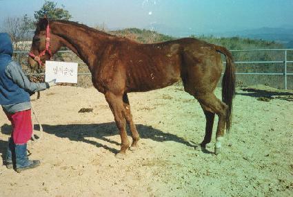 ���Ǽ��� ����