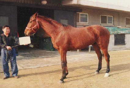 ���ֹ��� ����