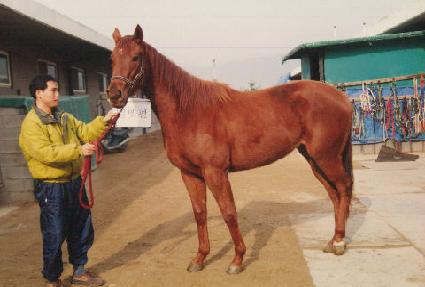 ������ ����