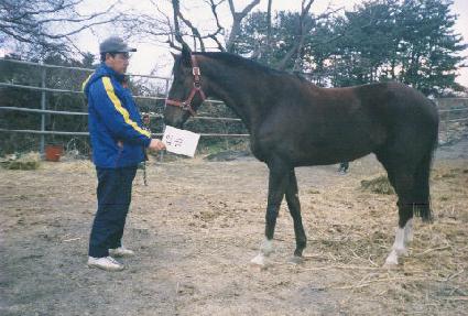 �н� ����