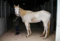 ��빫�� (SANGDAEMUJEOK) ����