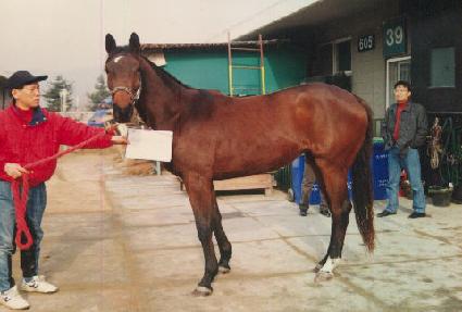 Ż��ũ ����