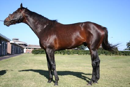 �ν�Ʈ����ƾ ����