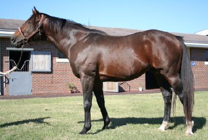 �������� ����