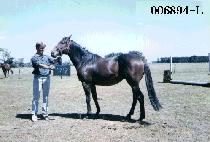 ���۷��� (SUPER RUNNER) ����