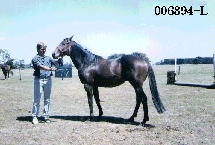 ���۷��� ����