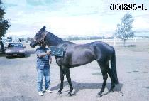 �ų��� (SIN NA GE) ����