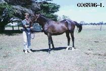 ���̺�Ʈ (GOOD EVENT) ����