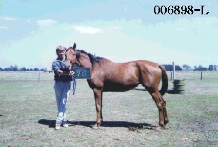 �Ƹ��� ����