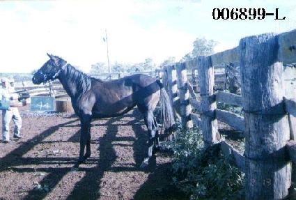 �ź� ����