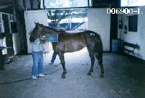 �˾ص� (R AND D) ����