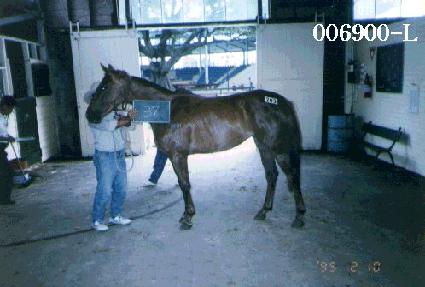 �˾ص� ����