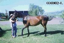 ������ (SEMICON) ����