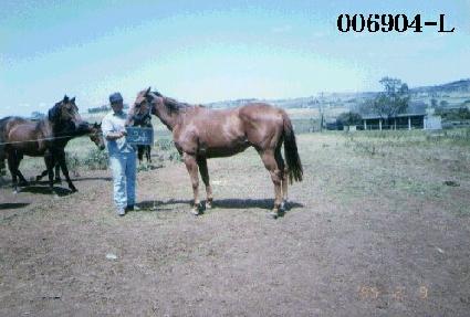 ƼƼīī ����