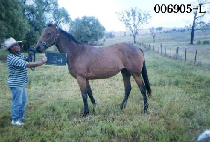 �̱�ȣ ����