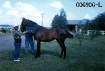 ���߿� (BBA BBI YONG) ����