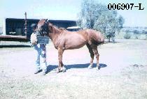 ������ (IL JIK SEON) ����