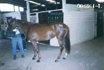 �������� (JEOK JAE JEOK SO) ����