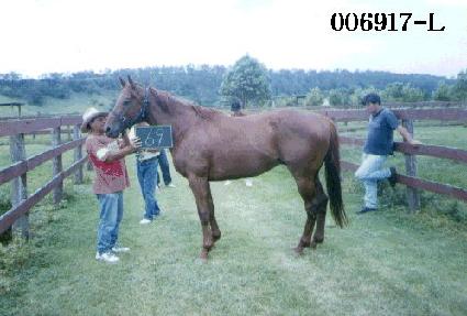 �޺��Ŀ� ����