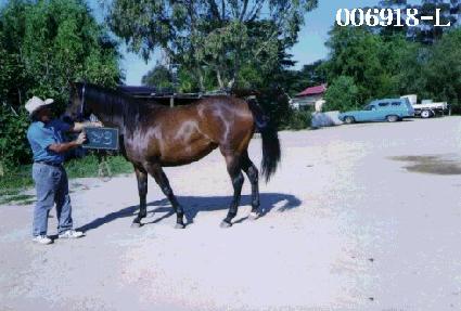 ����ȭ ����