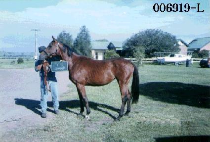 ���̵� ����