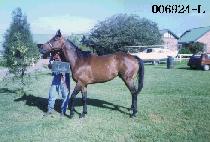 ��°� (DAE SEUNG GEOL) ����