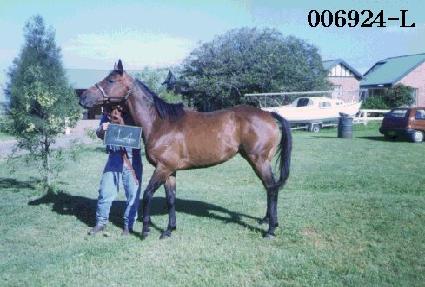 ��°� ����