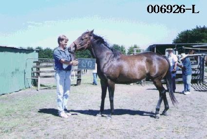 ���� ����