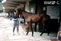 ���Ŀ� (ONE POWER) ����