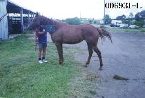 ���ϴ� (JANG HA DA) ����