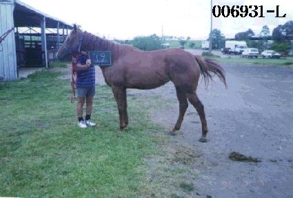 ���ϴ� ����