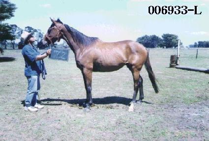 ������ ����