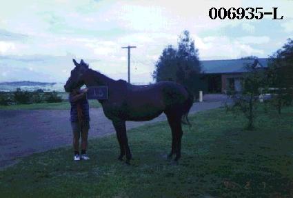 �Ҽ�ǥ�� ����