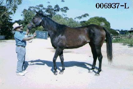 �����պ� ����